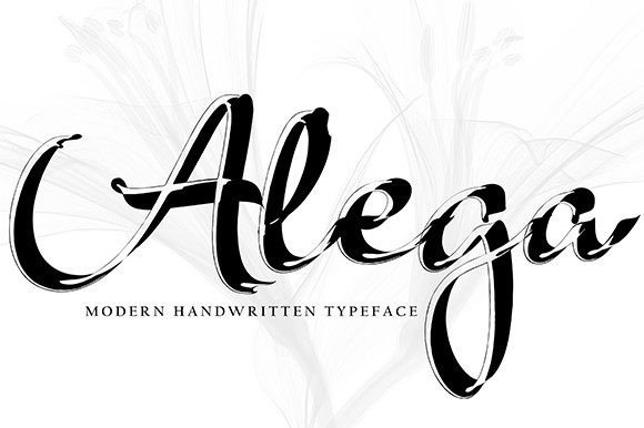 Alega: The Handwritten Font That Powers Real Campaigns