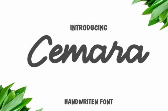 Cemara: The Script Font That Elevates Your Brand Identity