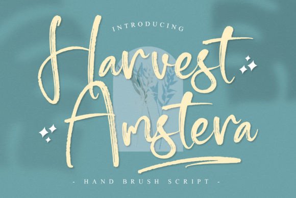 Elevate Your Brand with the Harvest Amstera Typeface