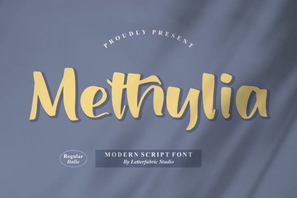 Methylia: The Modern Script Font for Handmade Brands