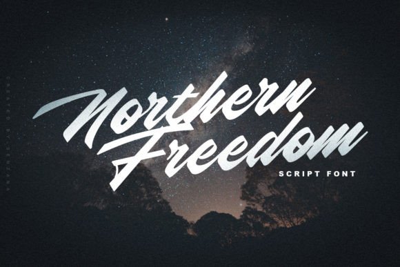 Northern Freedom: A Modern Script Font for Brand Growth