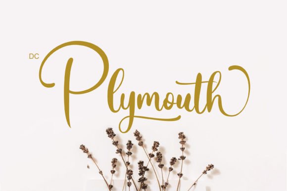 Plymouth: A Romantic Script Font for Editorial Design